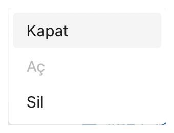 Toplu işlem seçenekleri