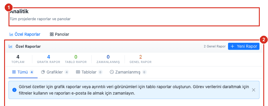 Analitik sayfası