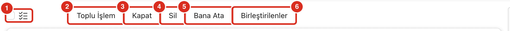 Toplu işlem çubuğu