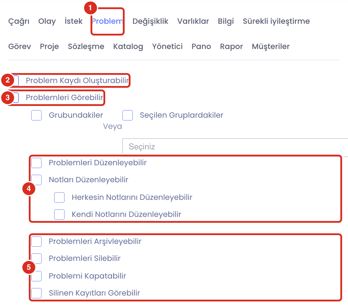 Rol ekranında Problem yetkileri