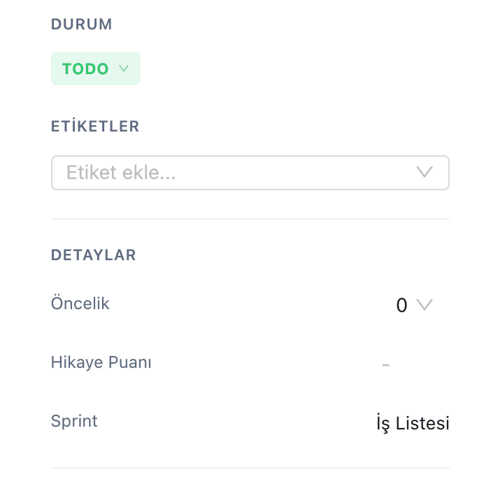 Görev detayı alan paneli