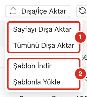 Dışa/İçe Aktar menüsü